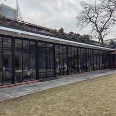 Saliey Garden User Photo