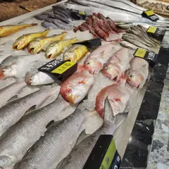 东海滙舟山海鲜(南京西路店) User Photo