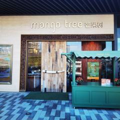 Mango Tree User Photo