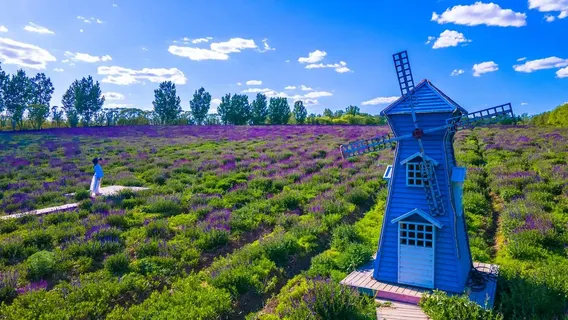 Huangjia Valley Leisure Campground