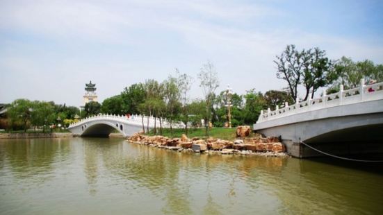 天津￼￼天津水上公园￼水上公园绿草如茵，风景如画，园中水面开