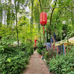 田园村农家乐 User Photo
