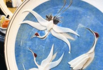 SONG FENG YA YAN User Photo