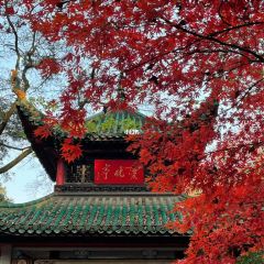 愛晚亭湖鮮食府張用戶圖片