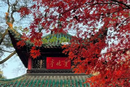 愛晚亭湖鮮食府