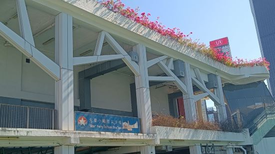 从九龙半岛，到香港岛，那缓缓行驶的天星小轮，就是香港最靓丽的