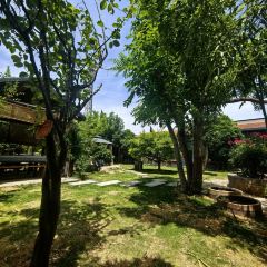 院中园园林餐厅 User Photo