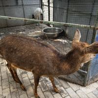 評論圖片 5