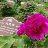 評論圖片 6