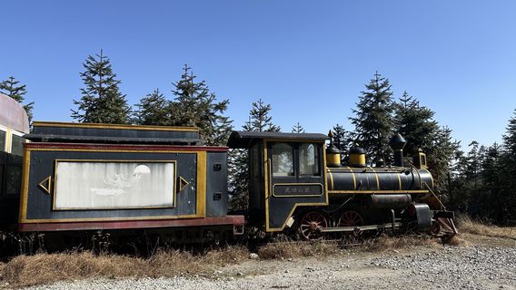 Sightseeing Train Yangshimu Station