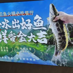 金大吉·鲜鱼火锅(世和广场店) User Photo