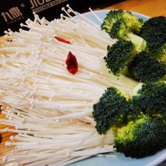 行走的路书院子 User Photo