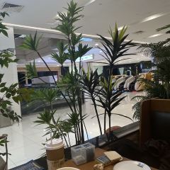 JUN CAI User Photo
