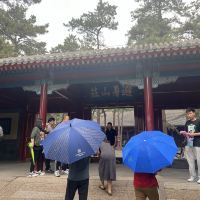 評論圖片 3