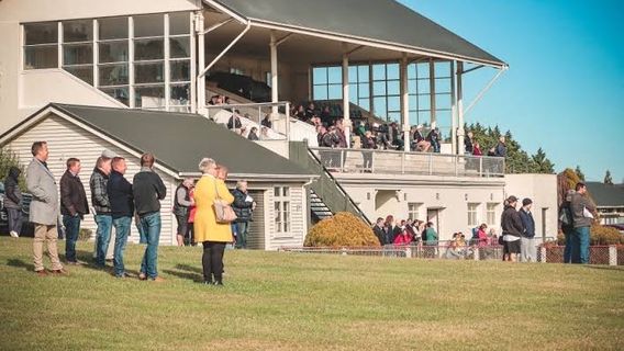 Oamaru Racecourse