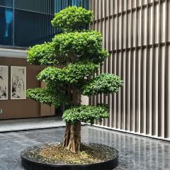 古蔺云弦大酒店·餐厅 User Photo