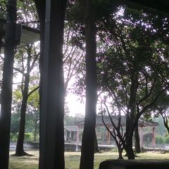 李豆花农家乐 User Photo