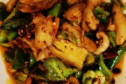 CHUAN ZHU SI NIAN YU ZHUANG ZONG DIAN