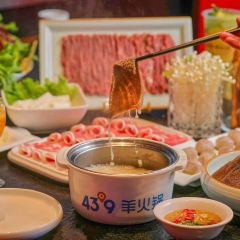 蒙都43°9羊火锅(双子座店) User Photo