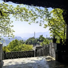 智矩寺皇茶坊 User Photo