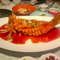 Plum Garden User Photo