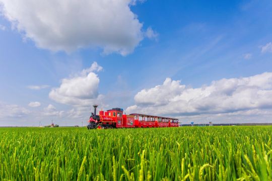 Dream Rice Wusu Agricultural Park