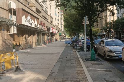 衢州鸭头蓓军鸭