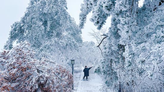 #天姥山雪景来我们新昌吧，沉浸式感受&ldquo;一部全唐诗