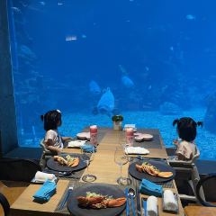 Aqua - Aquarium Restaurant User Photo