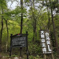 評論圖片 9