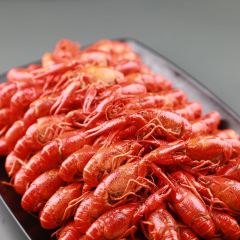 拾贰生宵夜宵店（湘域国际广场店） User Photo