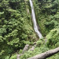 評論圖片 1