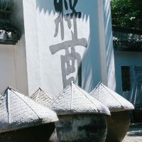 評論圖片 7