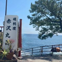Akazawa Marusho User Photo