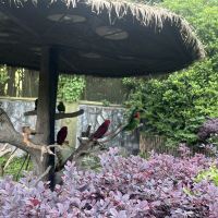 評論圖片 6