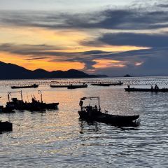 渔舟畅晚_出海捕鱼 User Photo