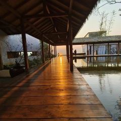 抚仙湖同尘院湖景温泉酒店·同尘食堂 User Photo