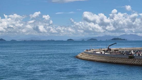 🌊 **【桔钓沙暴走实录】谁说深圳没有玻璃海？少年们的夏日