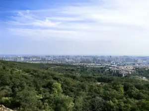 สวนสาธารณะยอดเขา