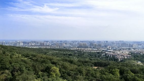 Peak Park