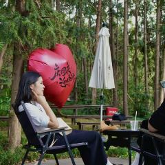 桃仚居張用戶圖片