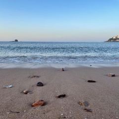 嵊泗畫沙海景咖啡民宿（會城店）·咖啡廳張用戶圖片