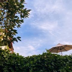 伊美萝薇海景咖啡 User Photo