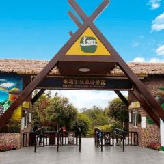 幸福公社張用戶圖片