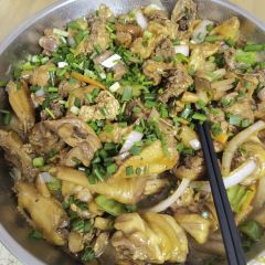 树上土鸡 User Photo