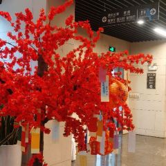 武汉二妃山庄湖畔花园酒店(光谷生物城科技会展中心店)·醉河鲜·非遗湖北菜 User Photo