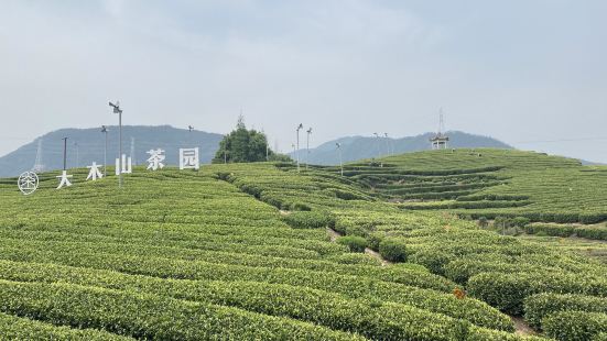 一个很漂亮的茶园，蛮大的，也是中国最大的骑行茶园，在景区门口