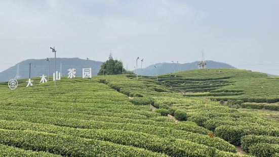 一個很漂亮的茶園，蠻大的，也是中國最大的騎行茶園，在景區門口