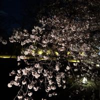 評論圖片 4