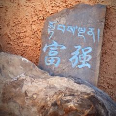 丁则川菜理塘菜 User Photo